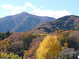 七沢から大山を望む紅葉がきれい