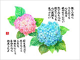 金子副会長が描いた紫陽花の詩画