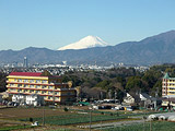 屋上から見た富士山